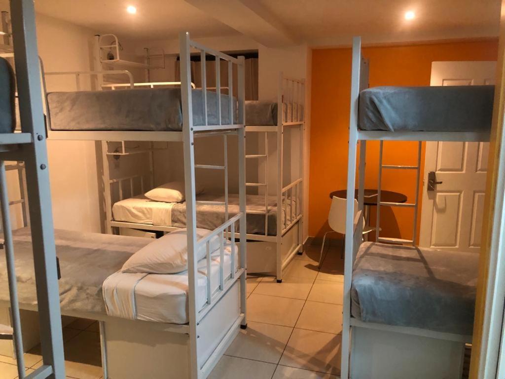 Hotel Del Paseo San José Dış mekan fotoğraf
